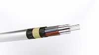Кабель АКРВБГ 10х10